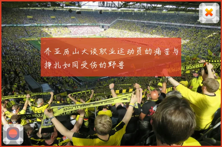 乔亚历山大谈职业运动员的痛苦与挣扎如同受伤的野兽